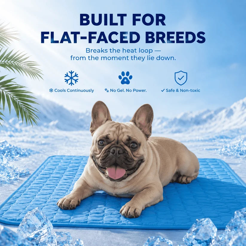 French Bulldog resting on ChillNest dog cooling mat