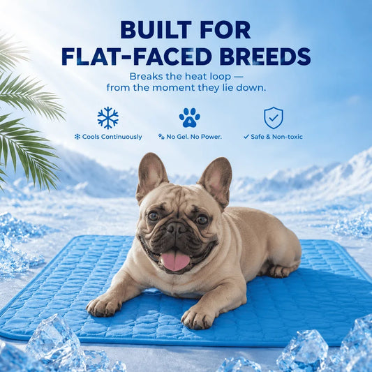 French Bulldog resting on ChillNest dog cooling mat