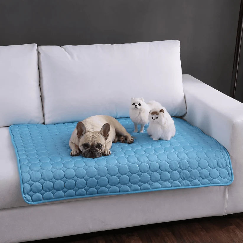 Pug resting on self cooling dog mat