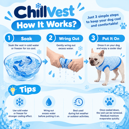 ChillVest™ Evaporative Cooling Vest for French Bulldogs, Pugs & Flat-Faced Breeds